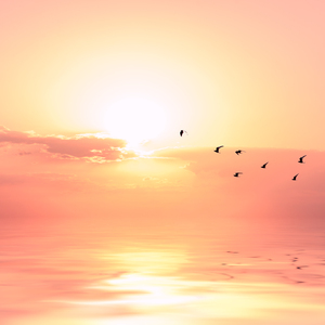 多女多男上舔下吸视频
